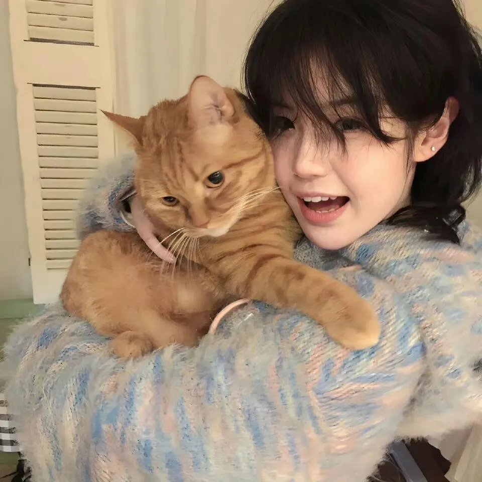 大鱼2之海岛鱼怪